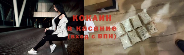 сатива Инсар