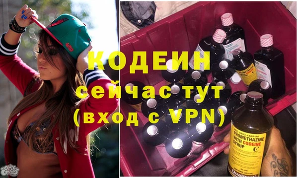 сатива Инсар
