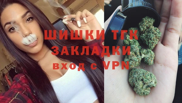 меф Инта