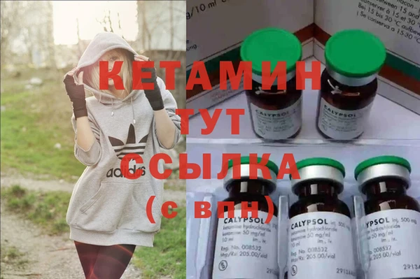 сатива Инсар