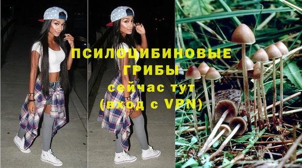 сатива Инсар