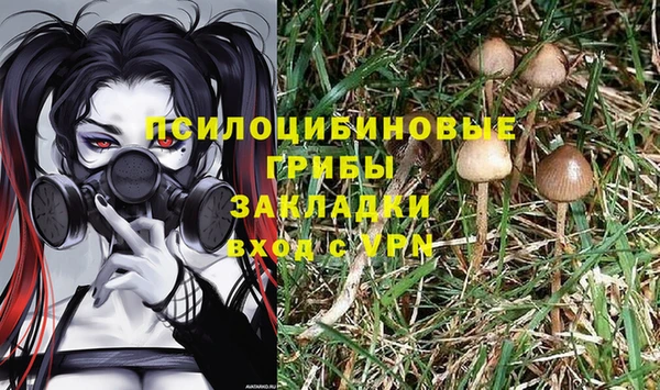 круглые Каменногорск